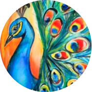 Welcome to ANKO Collections